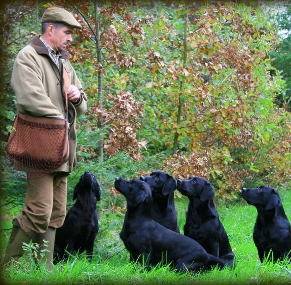 <h1 style="color:white;">RESULTATER</h1>
<h2>Resultater igennem tiden (fra 1/1 2025)</h2>