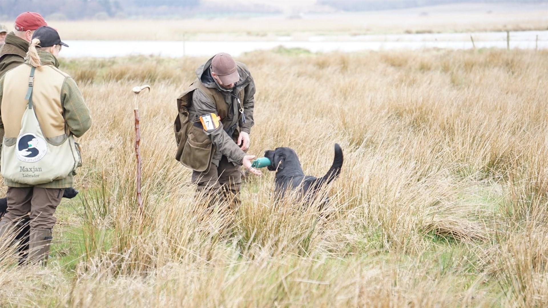 <h1 style="color:white;">Nyheder</h1>
<h2>