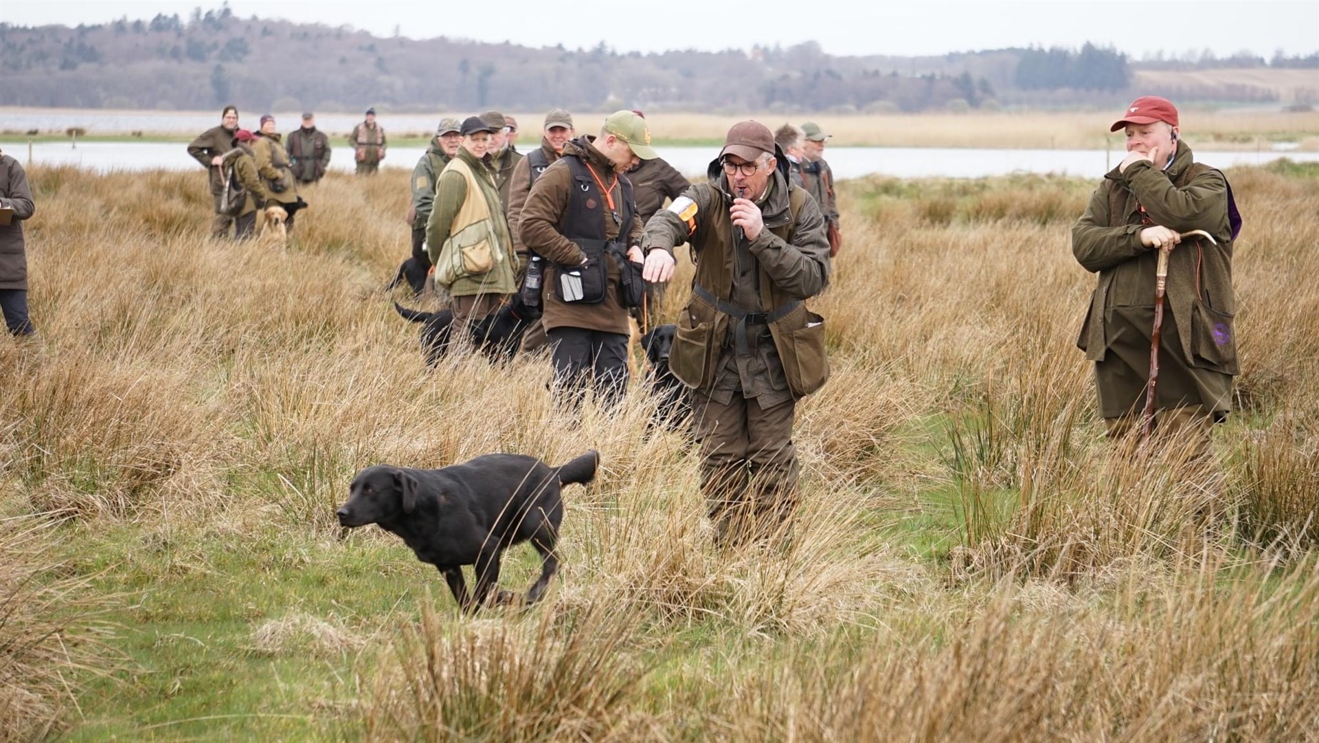 <h1 style="color:white;">Retriever Træning</h1>
<h2>
