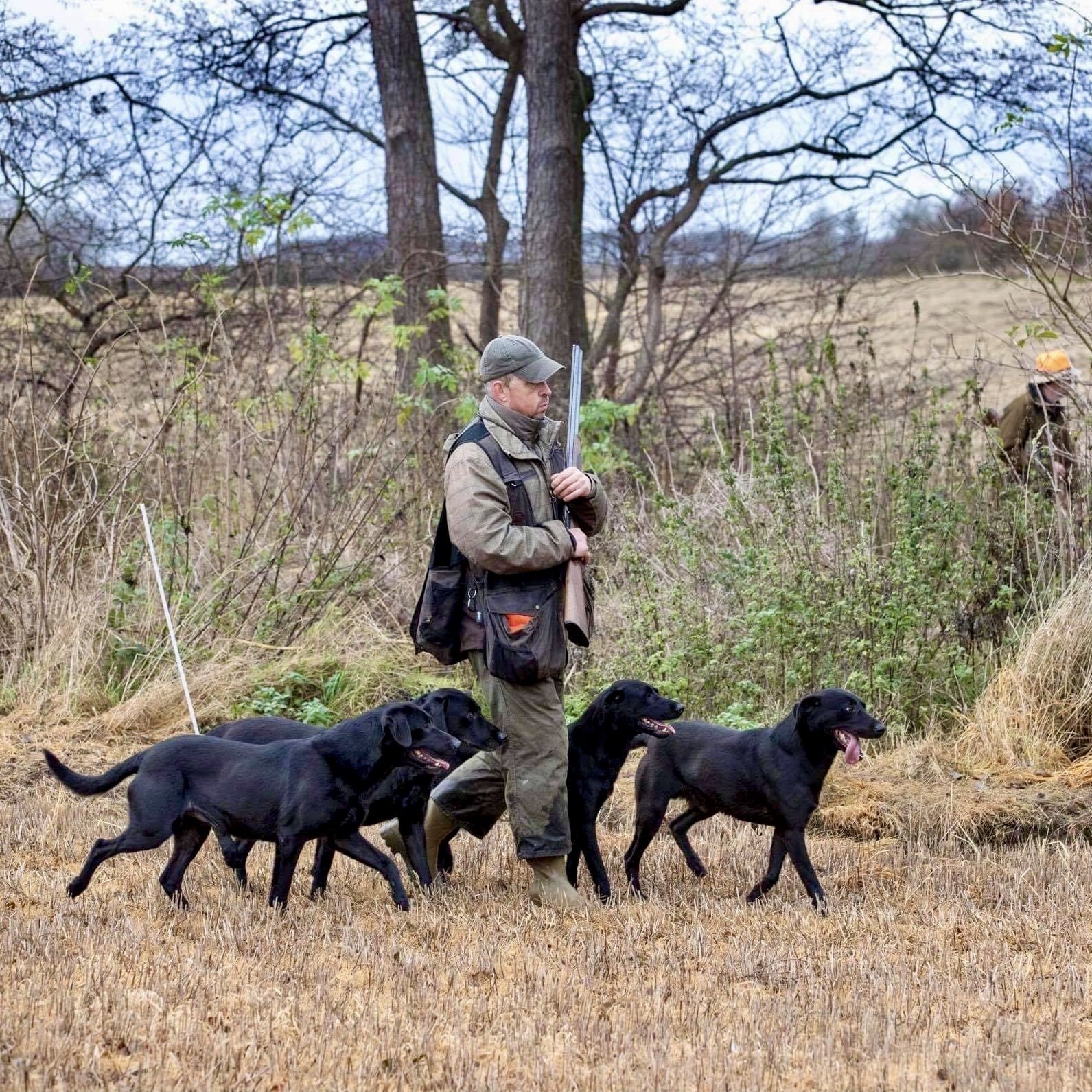 <h1 style="color:white;">Stjerner på himlen</h1>
<h2>