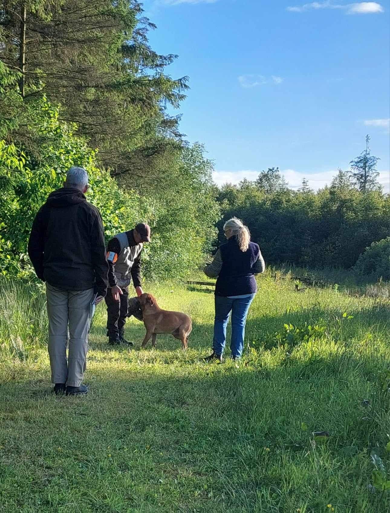 <h1 style="color:white;">Nyheder</h1>
<h2>